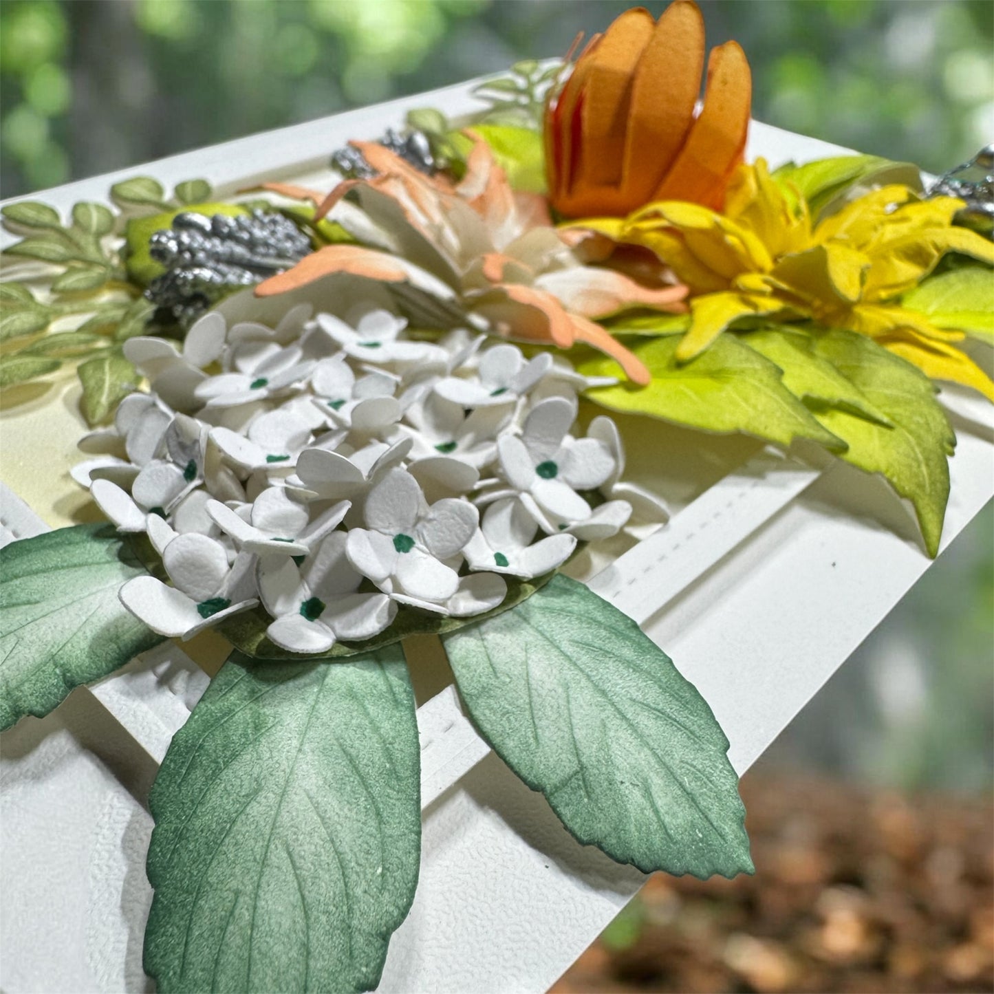 Floral Beauties